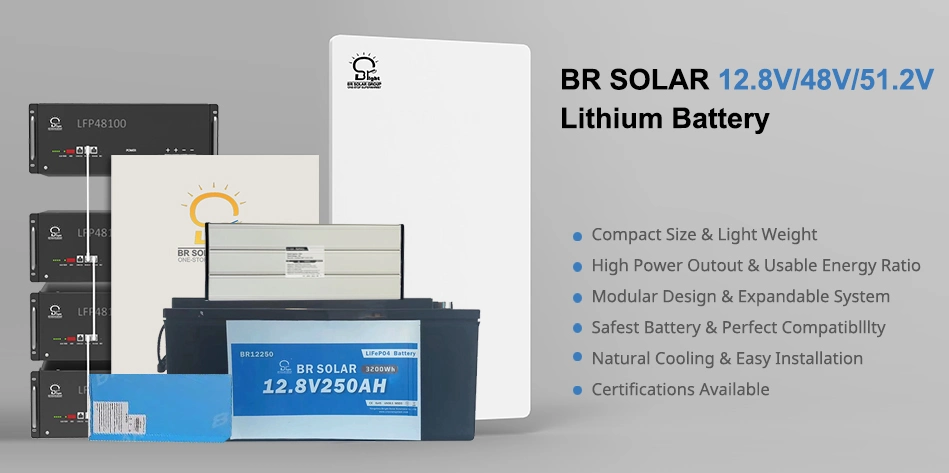 China Industrial/Commercial/Residential LiFePO4 12.8V/48V/51.2V 50ah/100ah/150ah/200ah/300ah Storage Solar Lithium Battery for Home Solar Energy Storage System